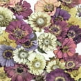 thumbnail image 2 of Bennett, Kate 20x20 Gold Ornate Wood Framed with Double Matting Museum Art Print Titled - Floral Abundance II, 2 of 4