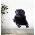 thumbnail image 1 of Labrador Sitting Wall Decal WM102401 by Wallmonkeys (24 in H x 16 in W), 1 of 4