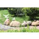 thumbnail image 5 of Figuras de esculturas de estatua de pájaros de palomas emdas decorativas para el hogar y el escritorio 4 Blanco Zulema Decoy Pigeon Artificial, 5 of 6