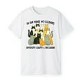 thumbnail image 3 of In Our House We Celebrate Diversity Equity And Inclusion Cat Lady T-Shirt, 3 of 5