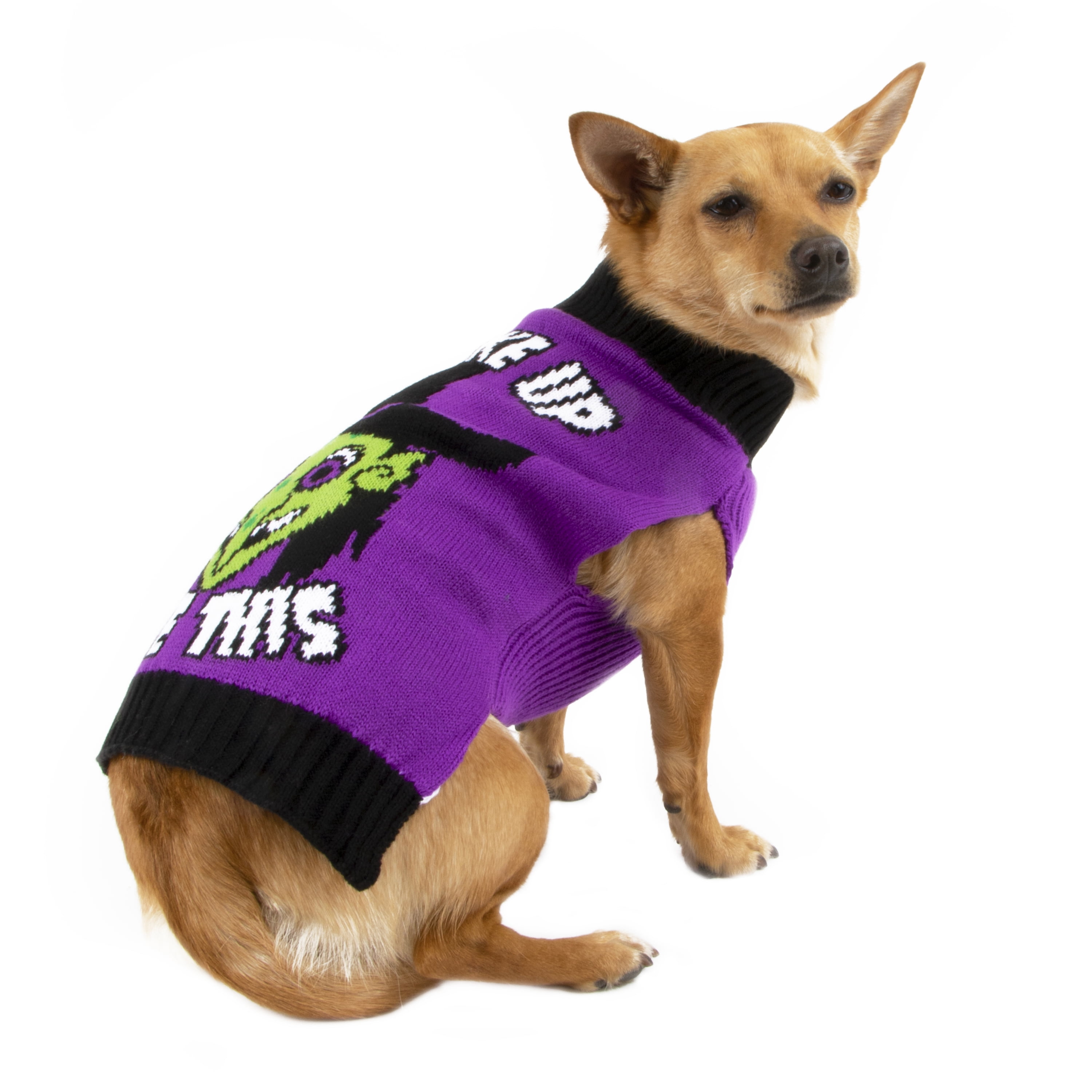 purple dog sweater