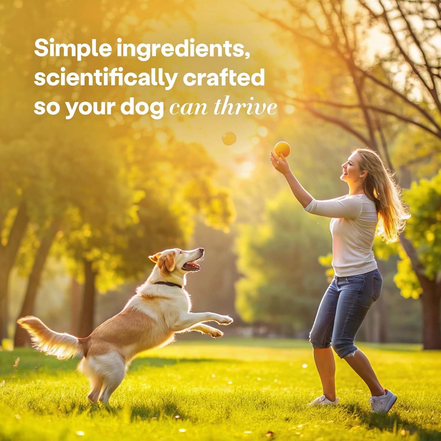 Wild Earth Superfood Dog Treats, Plant Based Dog Treats with Omega Acids, Prebiotics & Koji Protein, No Fillers, Veterinarian-Developed, Banana & Cinnamon Flavor 3 Pack