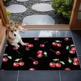 thumbnail image 4 of 2x3 Door Mat Rug, Cherry Rustic Non-Skid Rubber Backing Large Rectangle Rugs - Living Room Bedroom Home Office, Spring Summer Tropic Fruit Black Indoor Floor Mat Carpets Washable Rug, 4 of 9