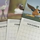 thumbnail image 2 of Calendario estético de pájaros precisos 2024 para programación de citas (L), 2 of 7