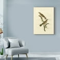 thumbnail image 3 of Trademark Fine Art 'Nozeman Birds V' Canvas Art by Nozeman, 3 of 4