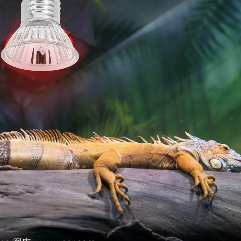 Heat Lamp Bulb For Reptile 50w 110v Tortoise Warm Keeping Lamp Turtle Sunlamp Walmart