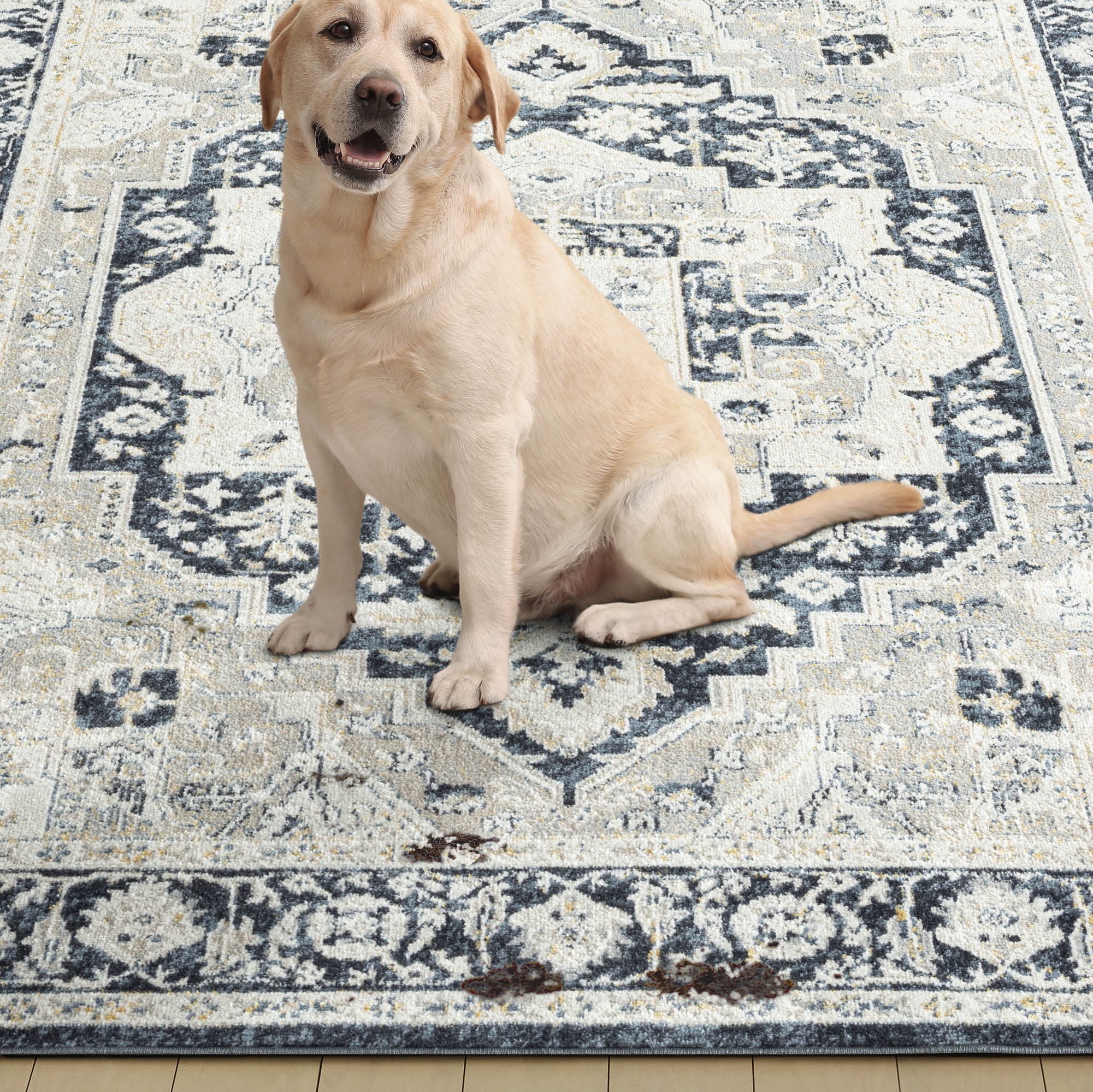 Everwash Treasure Rubia Traditional Medallion Machine Washable Indoor Area Rug, Ivory/Navy Blue, 6'6"x9'2"