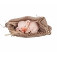 thumbnail image 1 of FC Design 3.75"W Cute Pink Baby Pig Sleeping in Burlap Bag Figurine, 1 of 1