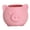 pink, variant on Lovely Cartoon Pigs Planter Decorative Garden Pots Unique Pigs Themed Small Planter for Growing Miniature Succulents