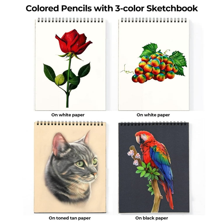 The Best Colored Pencils for Adult Coloring Books — Carrie L. Lewis, Artist