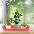 thumbnail image 1 of OULII 3pcs Plastic Flowerpot Tray Floor and Desktop Tray for Plants, 1 of 7