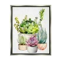 Stupell Industries Varied Succulent Garden Plants Botanical & Floral Painting Gray Floater Framed Art Print Wall Art
