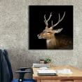 thumbnail image 6 of Epic Graffiti 'Sika Deer' by Epic Portfolio Giclee Canvas Wall Art, 37"x37", 6 of 8