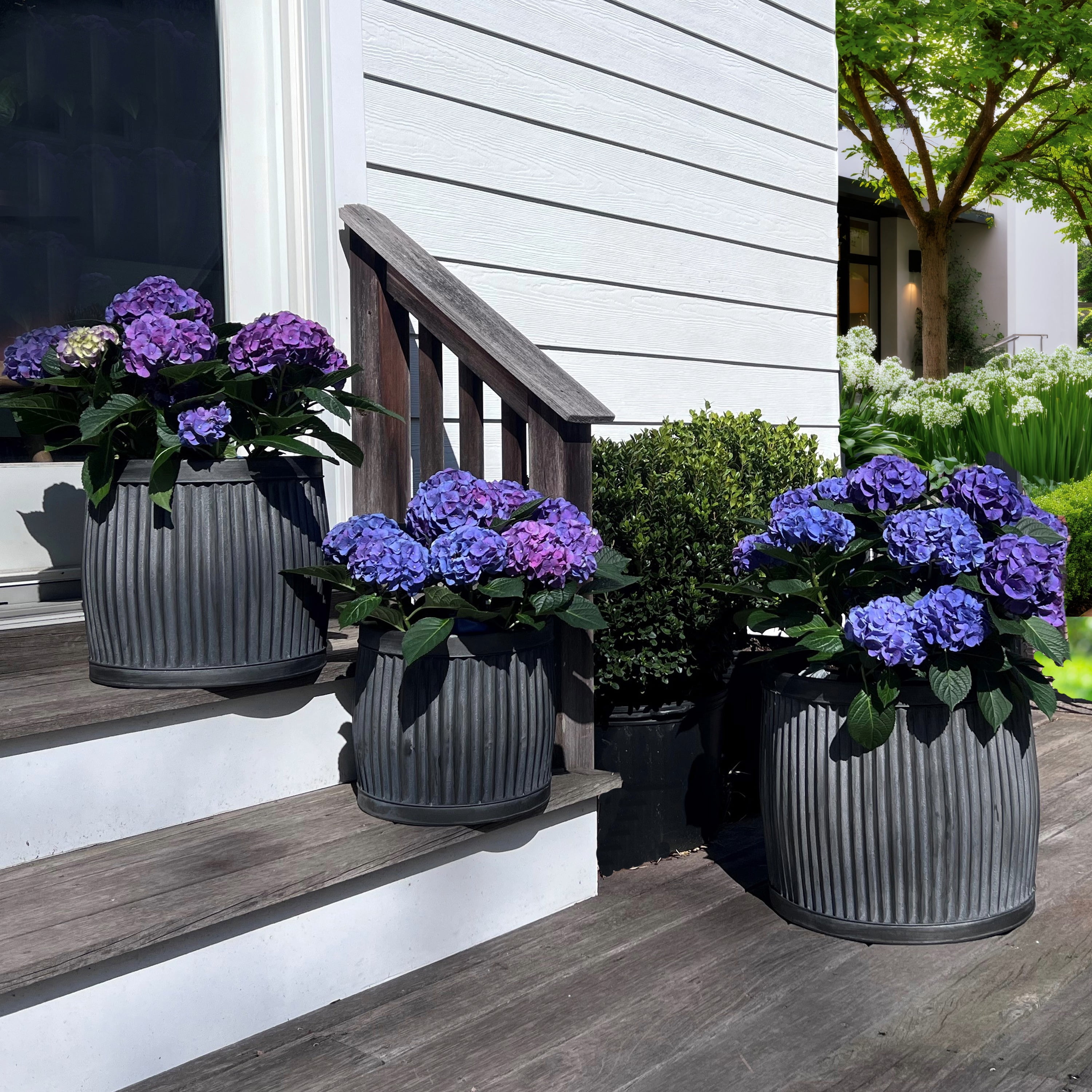 French Country Style Belly Bucket Planters, Set of 3, Galvanized Metal , Corrugated Cache Pots, Rustic Wash Basin, From Over 1 Ft Diameter (17 - 12 Inches)