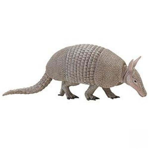 wild republic armadillo