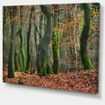 thumbnail image 2 of Forêt d'Automne aux Pays-Bas, 2 of 3