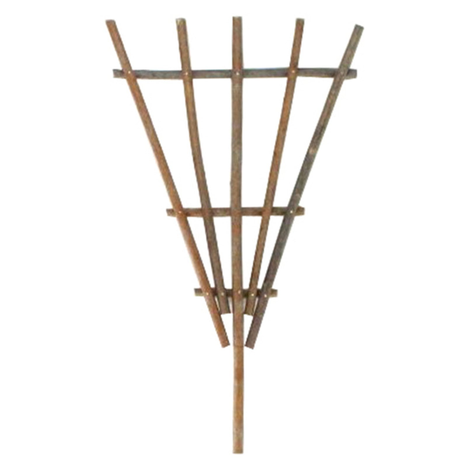 Staked Twig Trellis by HomArt