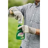 Ortho Weed B Gone Chickweed, Clover & Oxalis Killer, 16 Fl. Oz ...