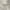 Tan, Ivory, Light Slate / Artarmon, variant on Hauteloom Artarmon Living Room, Bedroom Area Rug - Modern - Gray, Ivory, Beige - 5'3" x 7'1"