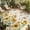 Yellow Green Grey, variant on Yellow Sunflower Outdoor Rug for Patio/Deck/Porch, Non-Slip Large Area Rug 3 x 5 Ft, Grey Plaid Country Bee Farmhouse Floral Indoor Outdoor Rugs Washable Area Rugs, Camping Rug Carpet Runner