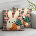 thumbnail image 3 of Pillow Pink Pillow Covers Peep Throw Pillow Covers Black and White Happy Spring Indoor Home Decoration for Sofa Couch Bed, 3 of 7