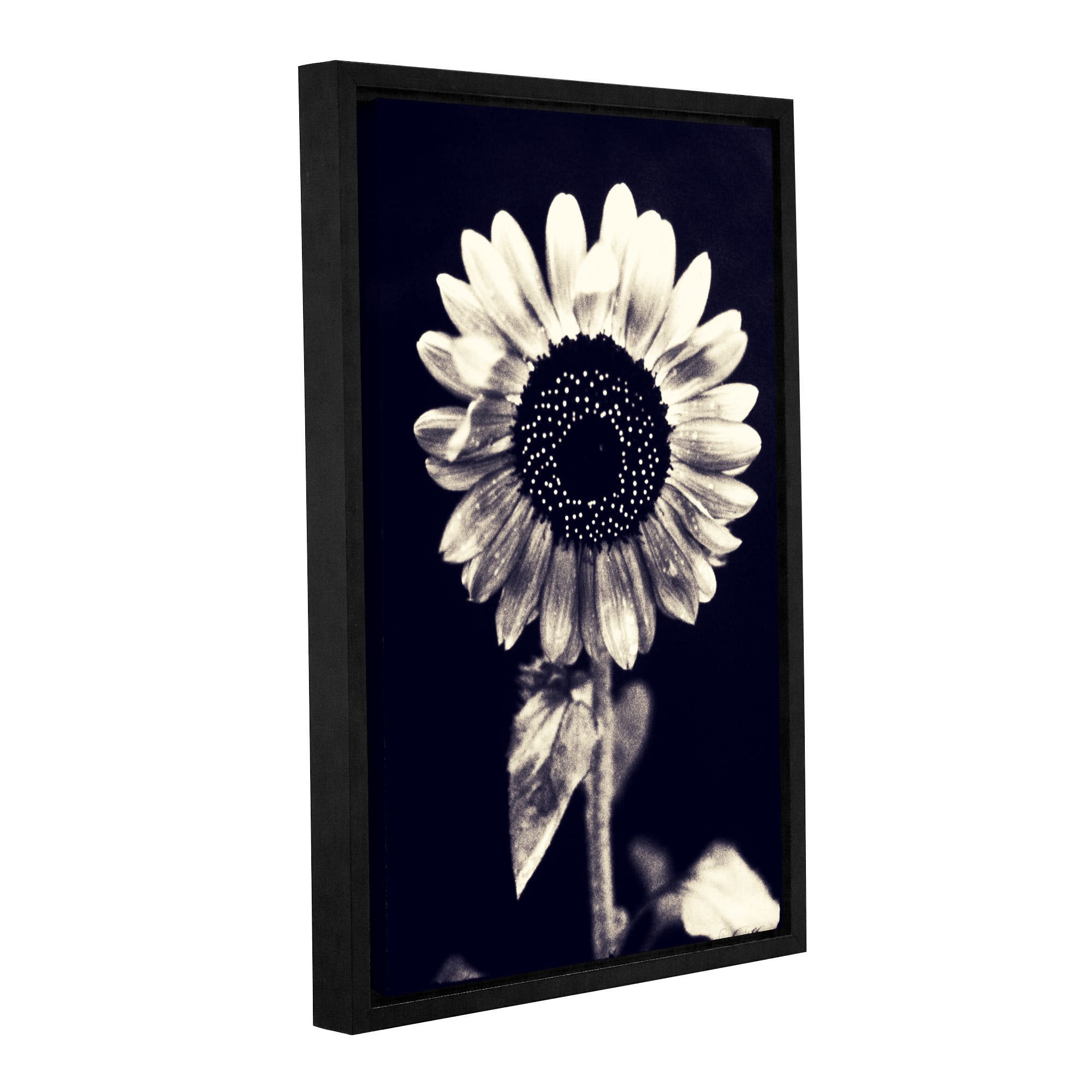 ArtWall Elena Ray "Black and White Sunflower" Gallery-Wrapped Floater-Framed Canvas
