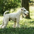 thumbnail image 4 of Outdoor Winter Coat for Dogs All-Season Warmth and Comfort for Four-Legged in Autumn and Winter, 4 of 7
