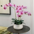 thumbnail image 4 of 23" Phale Orchid, 4 of 5