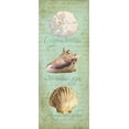 thumbnail image 2 of Reed, Tara 15x32 Gold Ornate Wood Framed with Double Matting Museum Art Print Titled - Oceanum Shell Panel Green I, 2 of 4