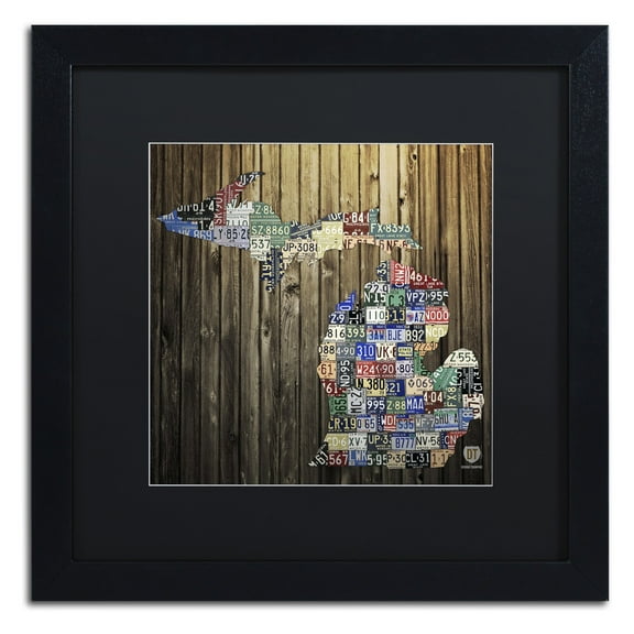 Trademark Fine Art 'Michigan Counties License Plate' Canvas Art by Design Turnpike, Black Matte, Black Frame