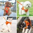 thumbnail image 5 of Jinsinto Cat Leashes Kitten Harness Anti Escape Reflective Adjustable Cat Harness Breathable Vest, 5 of 5