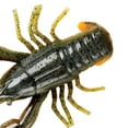 thumbnail image 6 of YUM Crawbug Soft Plastic 2 1/2" Crawdad 10 Count, 6 of 6