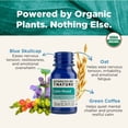thumbnail image 4 of Forces of Nature Calm Mood Stress Relief, Organic, Plant-Based, Non-Habit-Forming, Non-Toxic Sublingual Tincture, 30ml Value Size, 4 of 8