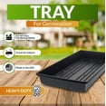 thumbnail image 4 of 100 PK - 1020 Plateaux pour Plantes, Sans Trous, Robustes, 4 of 4