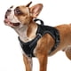 thumbnail image 1 of Arnés para perros Rabbitgoo Tactical Service No Pull, tamaño pequeño, negro, 1 of 9