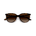 thumbnail image 5 of Ray-Ban Square Sunglasses for Women, Polished Havana Frames with Gradient Brown Lenses, Size 54, 5 of 6