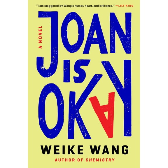 Pre-Owned Joan Is Okay (Hardcover) 0525654836 9780525654834