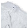 thumbnail image 2 of Fiestas Guirca Feather Wings Costume Accessory (Batteries Included), 2 of 4