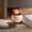 White, variant on Aroma Diffuser Large Capacity USB Humidifier with Ambient Night Light, Cool Mist Diffuser for Bedroom Home, Easter Decor , Valentines Day Gifts, 1Pcs Black