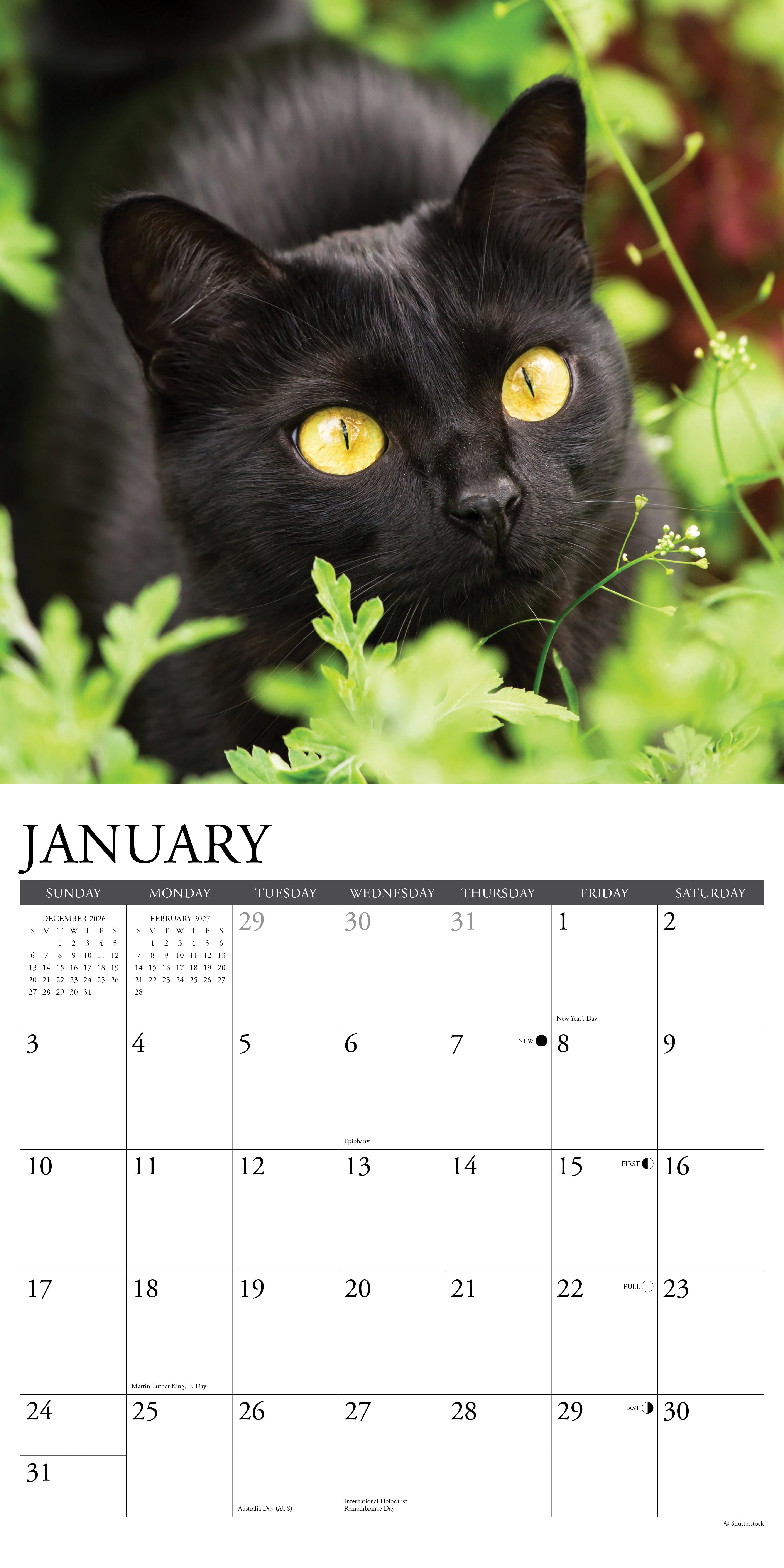 Willow Creek Press, Black Cats 2027 Wall Calendar