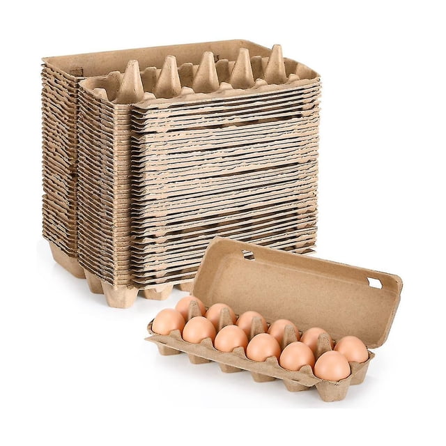 Cartones de huevos de cartón para 20 piezas, cartones de huevos de pulpa de papel en blanco, contenedor de una docena de cartones de huevos, huevo vacío Hy