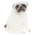 thumbnail image 2 of MERIGLARE Modèle de Chien Carlin Jouet Éducatif pour Enfants Collection Ornement - Couleur Blanche, 2 of 8