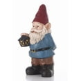 thumbnail image 4 of GNOME Tenant une Lanterne, 4 of 5