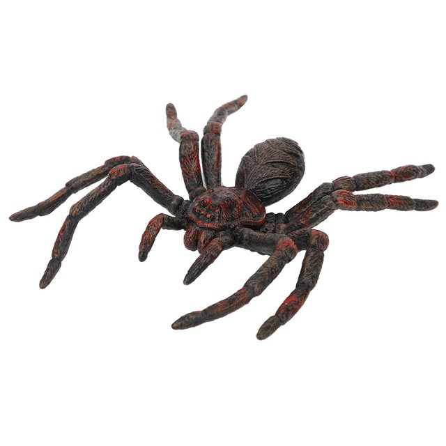 Insecto modelo simulación insecto modelo insecto estatuilla nios juguete Animal simulación juguete Animal estatuillaModelo de insectos Mgaxyff No