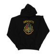 thumbnail image 1 of Harry Potter Mens Hogwarts Varsity Hoodie, 1 of 3