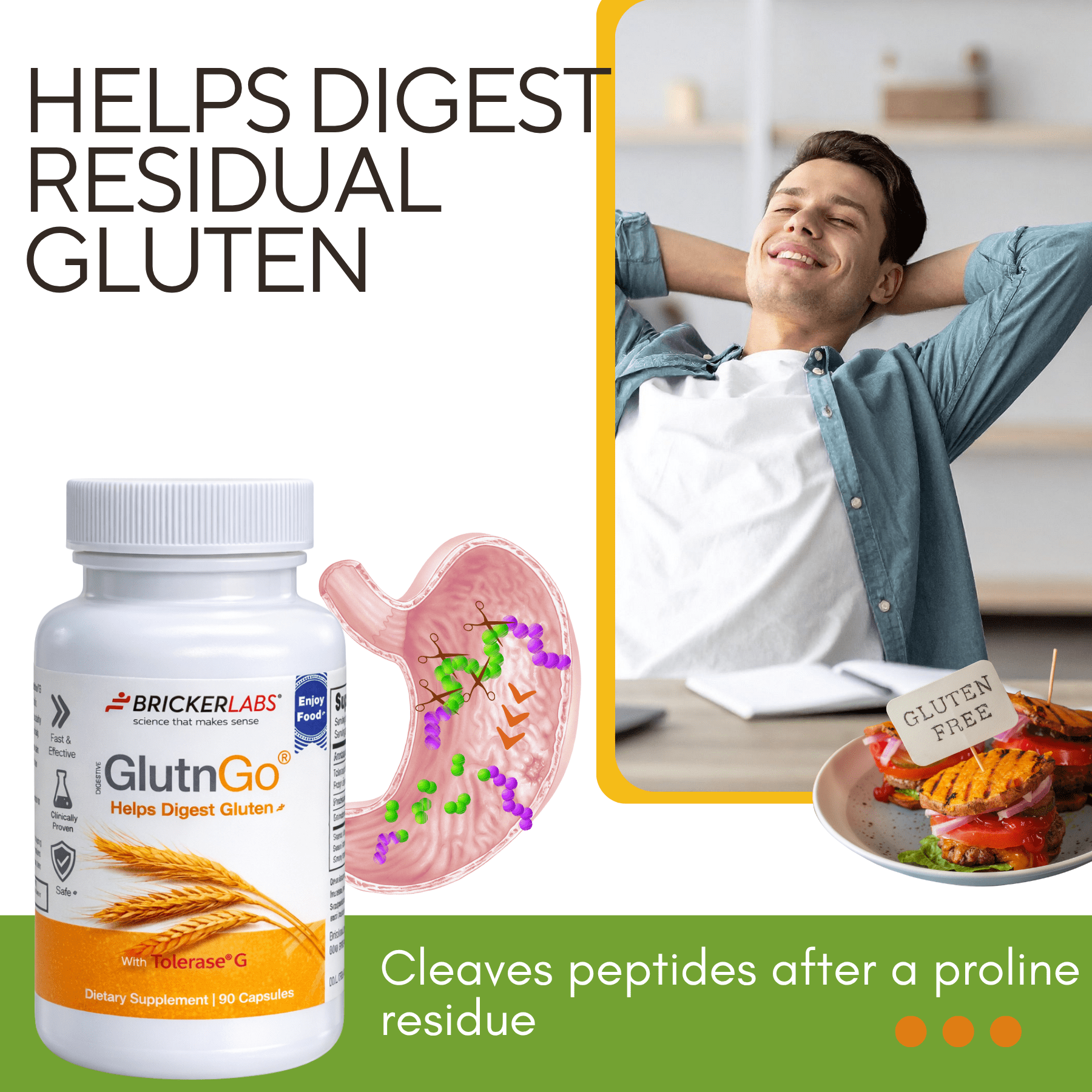 GlutnGo with Tolerase G 100mg – Gluten Digestive Enzyme Supplement, 90 Capsules