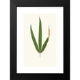 thumbnail image 2 of Edward Joseph Lowe 11x14 Black Modern Framed Museum Art Print Titled - Terminal Elegant (1867-1870), 2 of 5