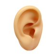 thumbnail image 3 of Modelo de oreja de silicona Artificial falso flexible para pendientes Simulación de exhibición para exhibición de fotografía Show Tool de enseñanza Oreja izquierda, 3 of 8