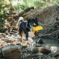 thumbnail image 3 of ZippyPaws 817074 Rope Gliderz Dog Toy, Yellow - Medium, 3 of 3