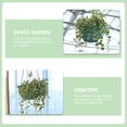 thumbnail image 4 of Weiweiguan 2 Pcs Pots de Chlorophytum Pots de Fleurs Suspendus Contenants de Rangement pour Fleurs, 4 of 7
